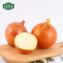 China Gansu top quality fresh yellow onion exporter